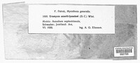 Uromyces aconiti-lycoctoni image